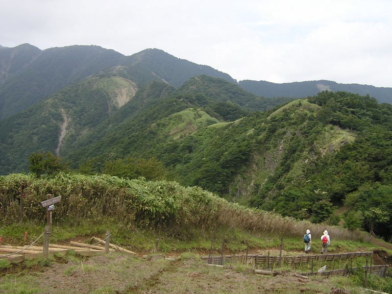 丹沢表尾根 -- 烏尾山から行者岳に向かう