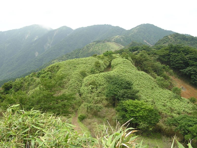 丹沢表尾根 -- 笹