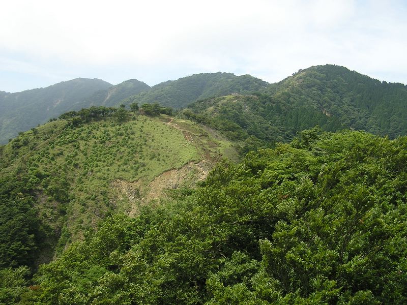 丹沢表尾根 -- 新大日の向こうに塔ノ岳