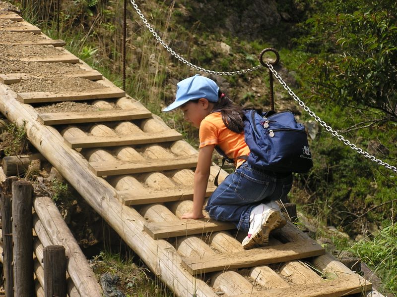 丹沢表尾根 -- 下は見ない方が良い