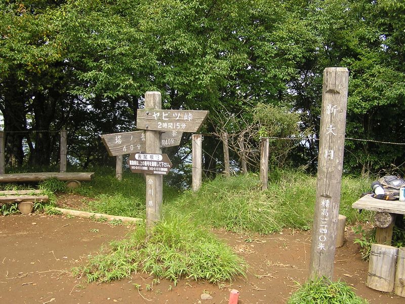 丹沢表尾根 -- 新大日