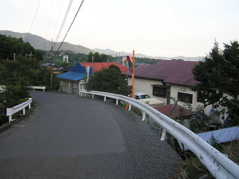 丹沢表尾根 -- バスに乗るため、ここから走る