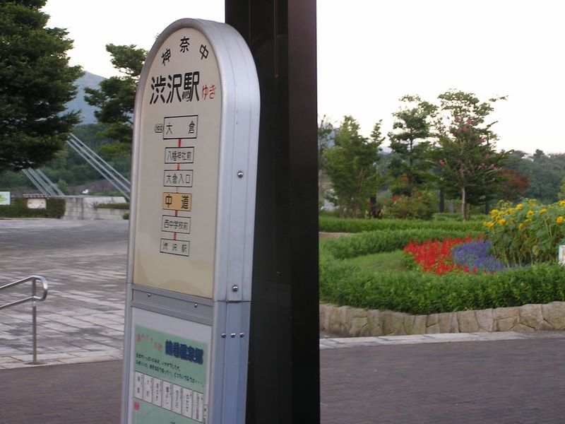 丹沢表尾根 -- 間に合った！