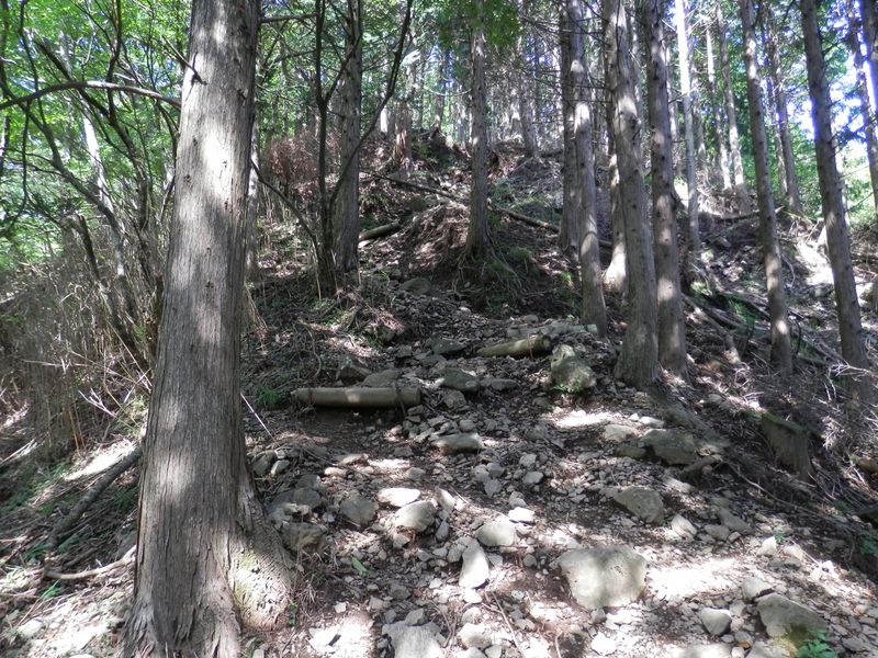 政次郎尾根の登山路