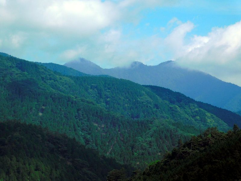 丹沢三峰を望む