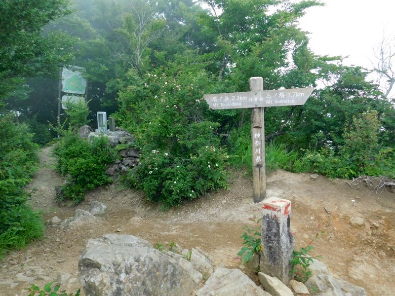 行者ヶ岳 1180m峰