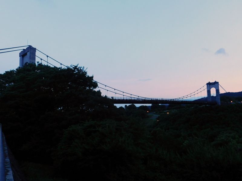 夕暮れ迫る、風の吊橋