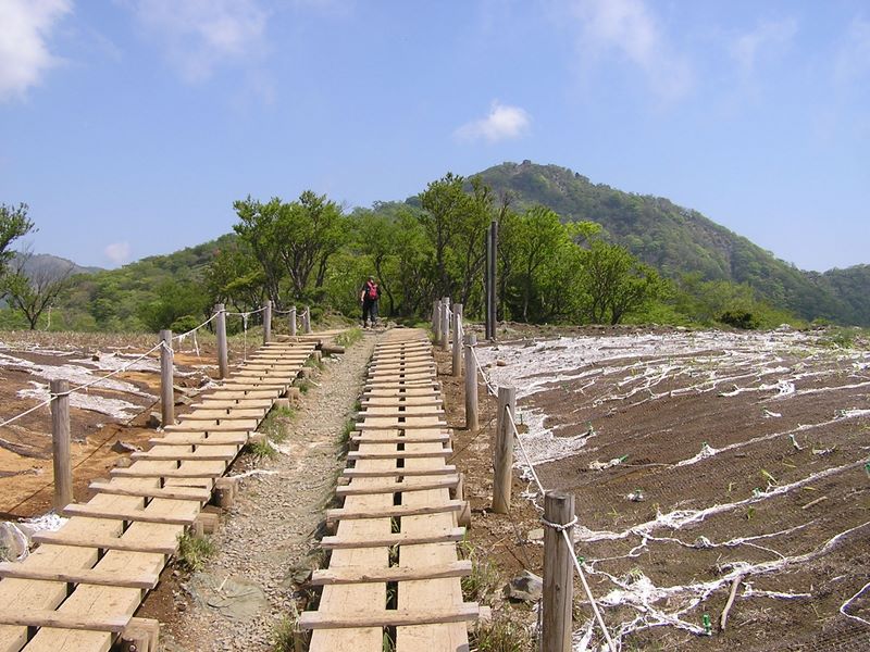 丹沢山 -- 「ガーゼ」で手当てした山肌 