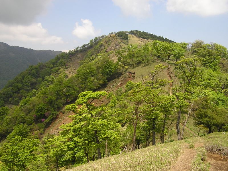 丹沢山 -- 日高から竜ケ馬場に向かう尾根道
