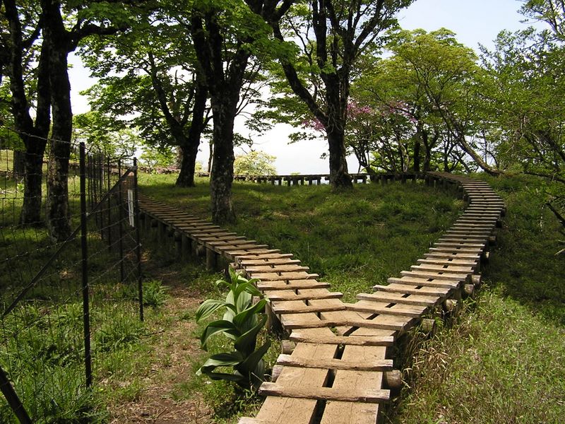 丹沢山 -- 鹿フェンス