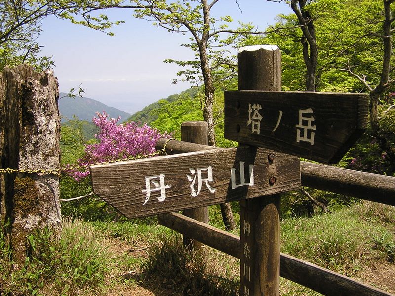 丹沢山 -- 崩落地点