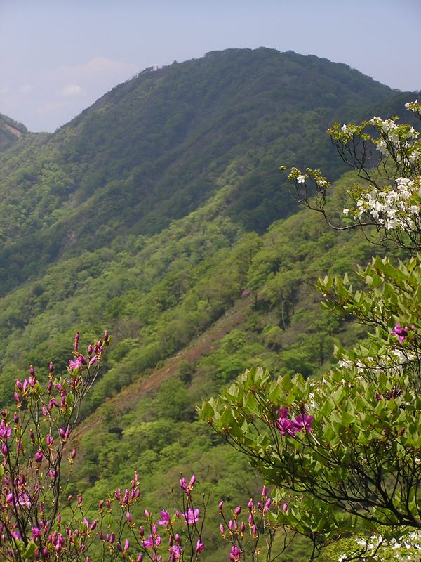 丹沢山を振り返る
