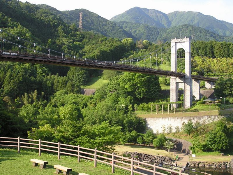 丹沢山 -- 風の吊橋