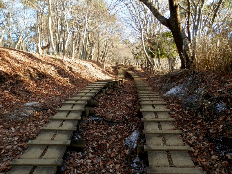 大倉尾根が荒れるのを抑える木道