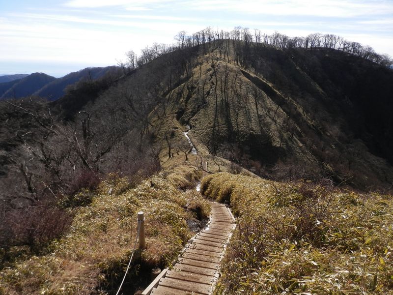 日高を振り返る