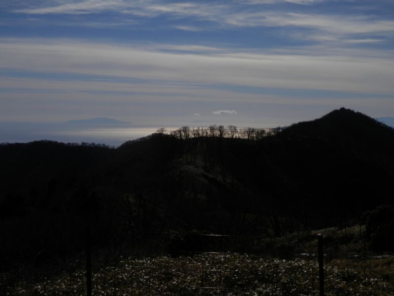 竜ヶ馬場より、塔ノ岳と伊豆大島を望む