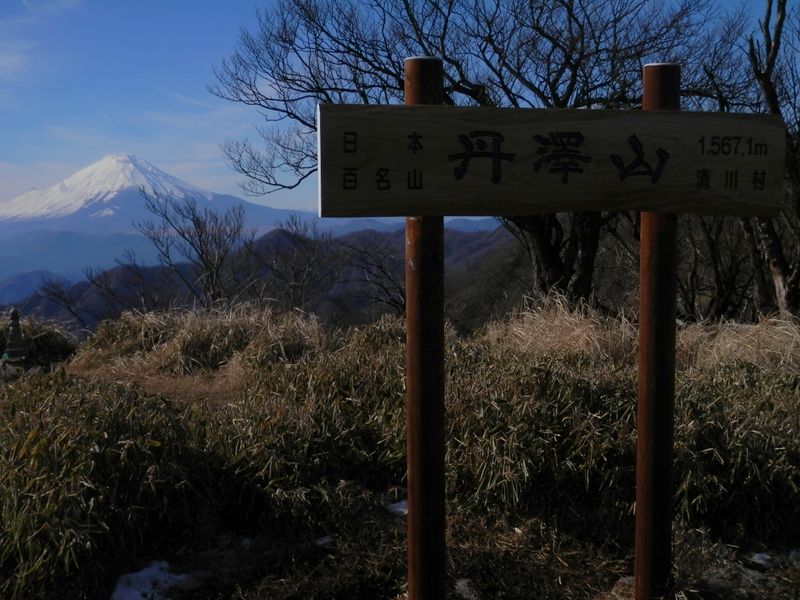 丹澤山、山頂に到着