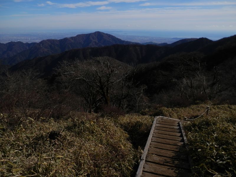 竜ヶ馬場から塔ノ岳に向かう道より、大山と相模湾を望む