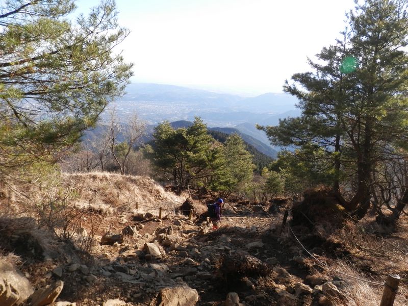 岩石がゴロゴロした大倉尾根をゆっくりと下った