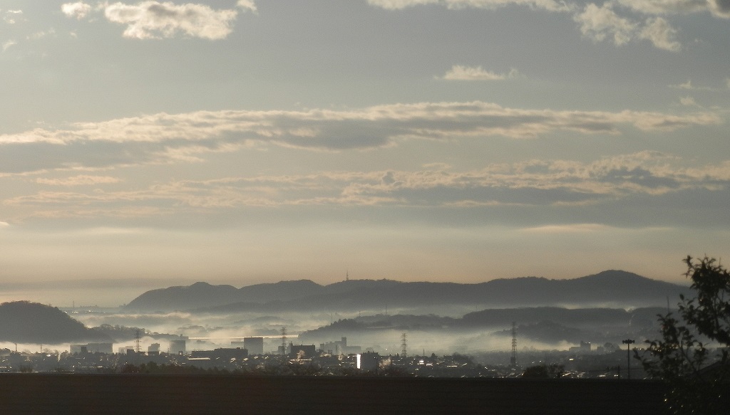 渋沢丘陵の朝モヤ