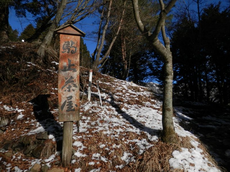 雪が雨に叩かれている