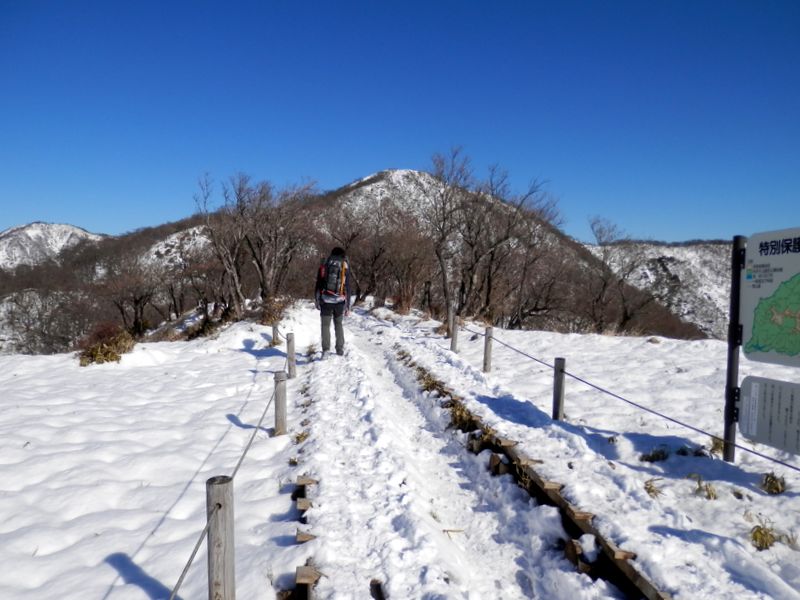花立より、塔ノ岳を正面に望む
