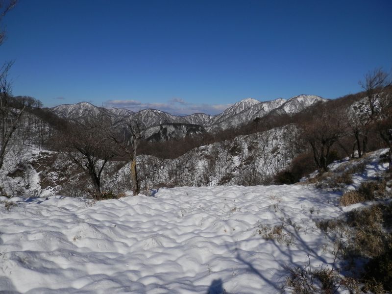 花立より望む、丹沢主稜