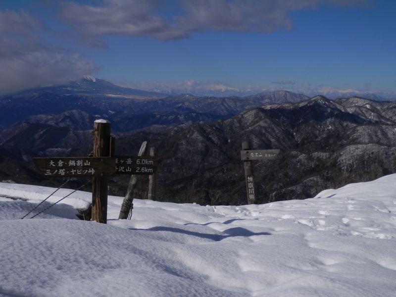 これより、丹沢山に向かう