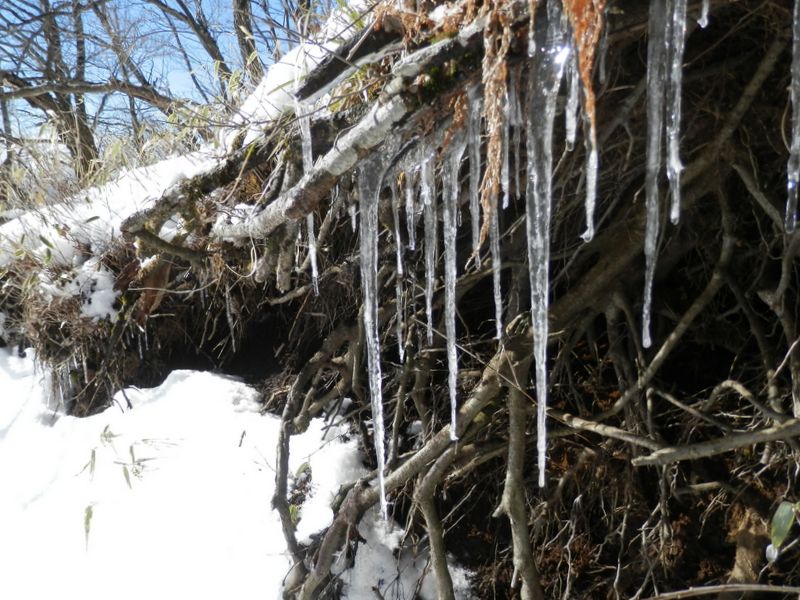 どんどん融けてゆく氷柱