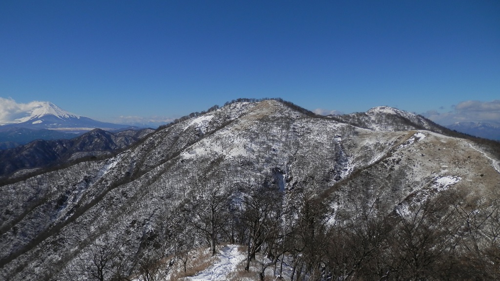 丹沢山の西の小ピークで休憩
