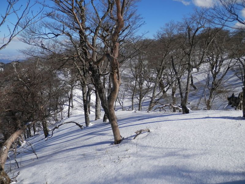 ここにピクニックシートを敷いて昼食