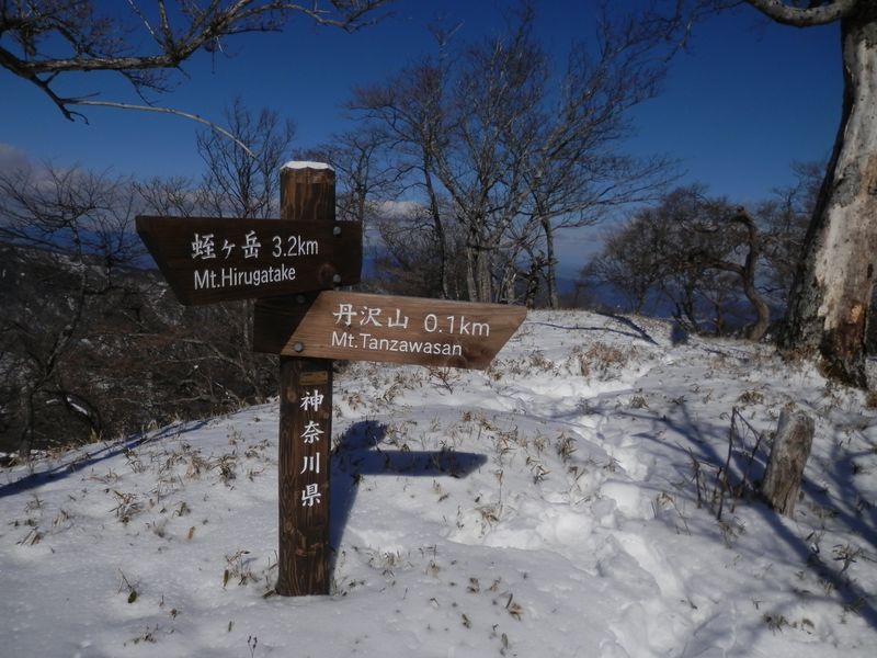 さて、名残惜しいが帰るとしよう