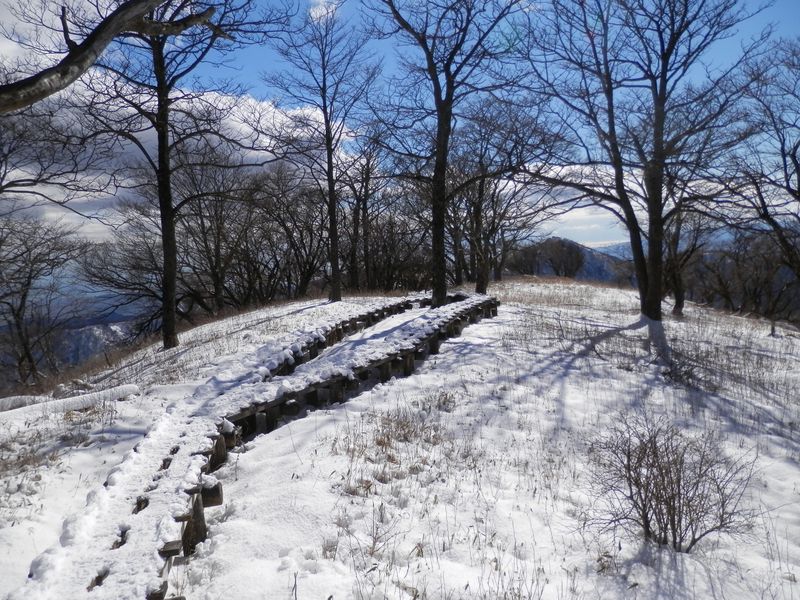 ここの木道が大好き