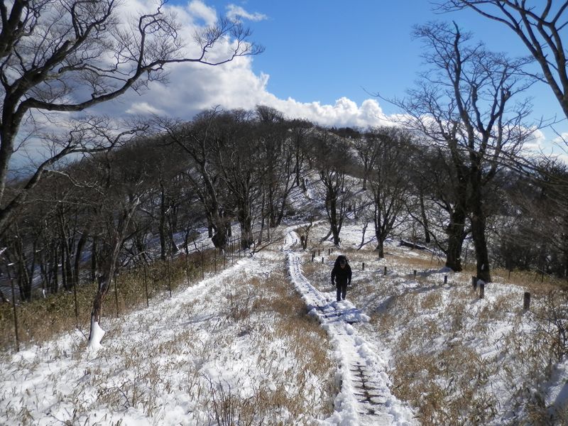南面の雪はそろそろシャーベット状に