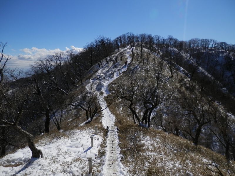 日高に登り返す
