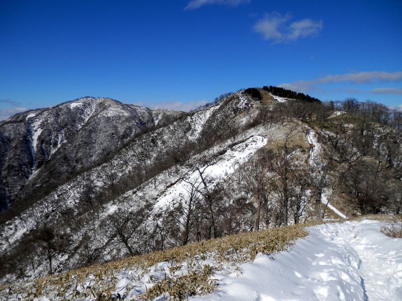 竜ヶ馬場（右）を振り返る