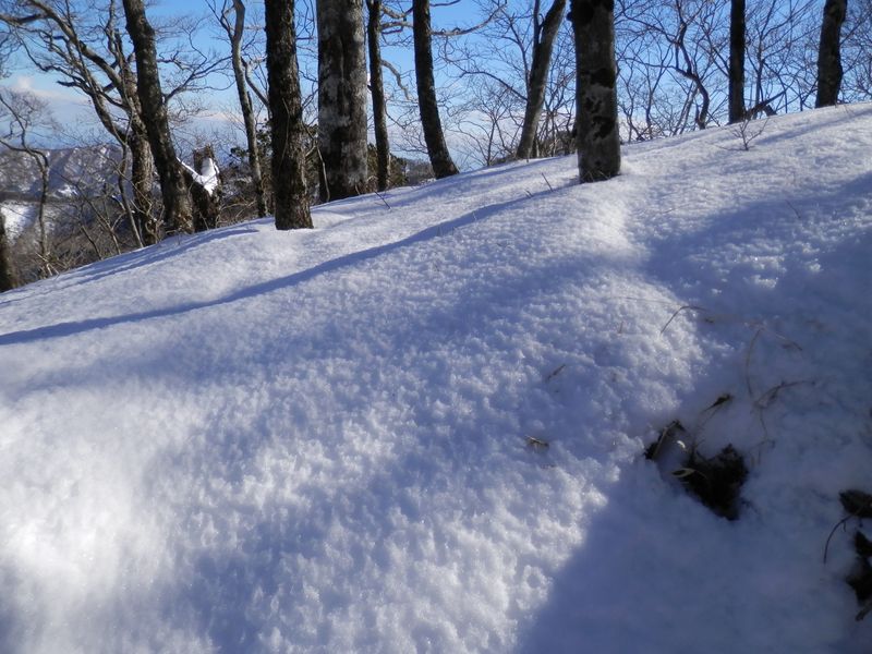 この日の雪面