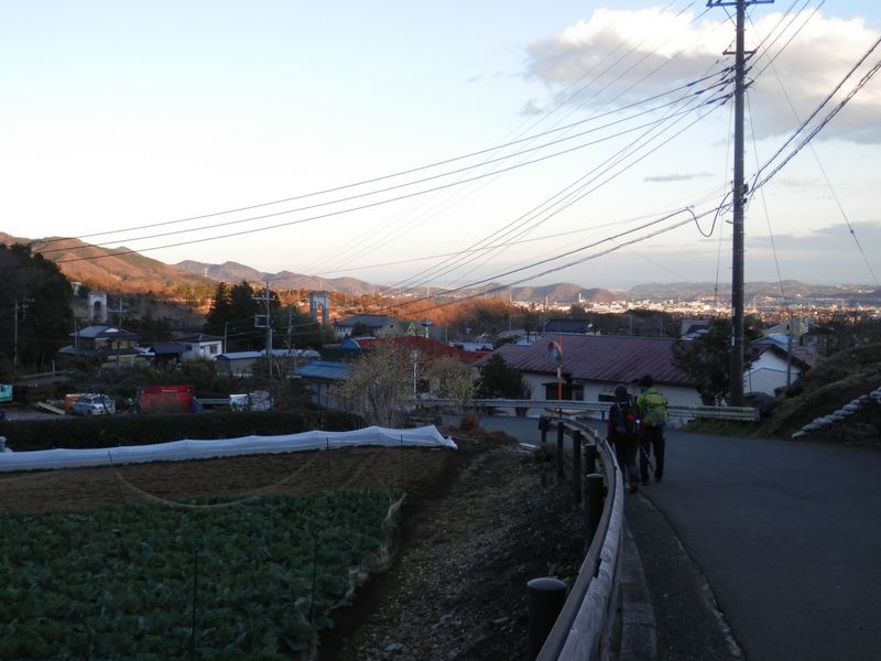 大倉の「風の吊橋」が見えてきた