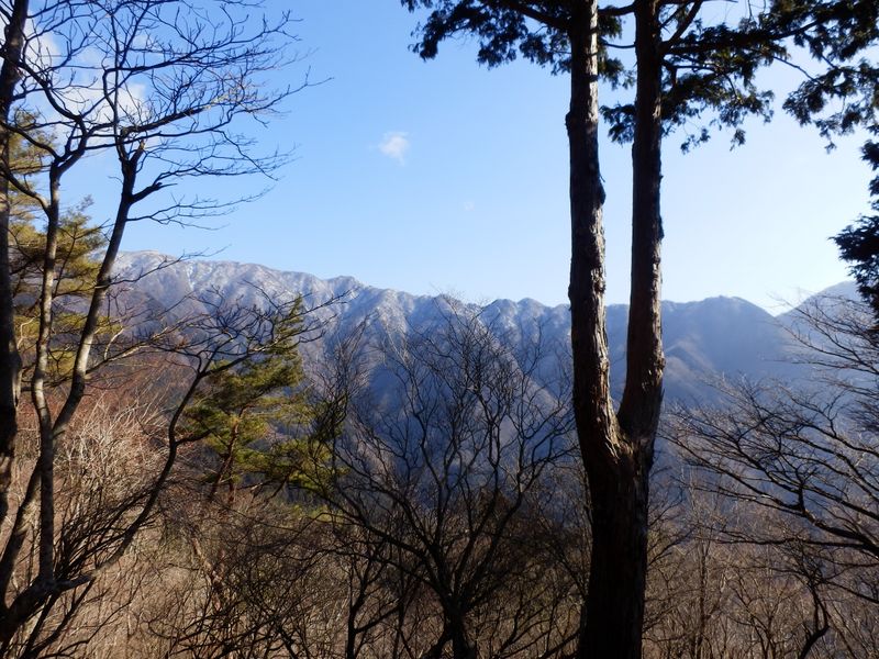 駒止茶屋の休憩所より、表尾根