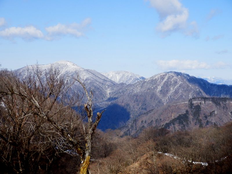 檜洞丸と大室山
