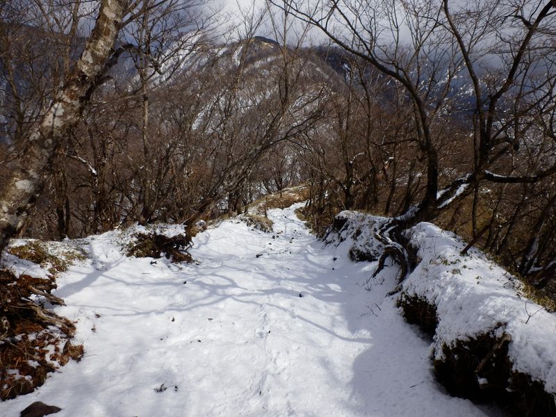 塔ノ岳北面の下り