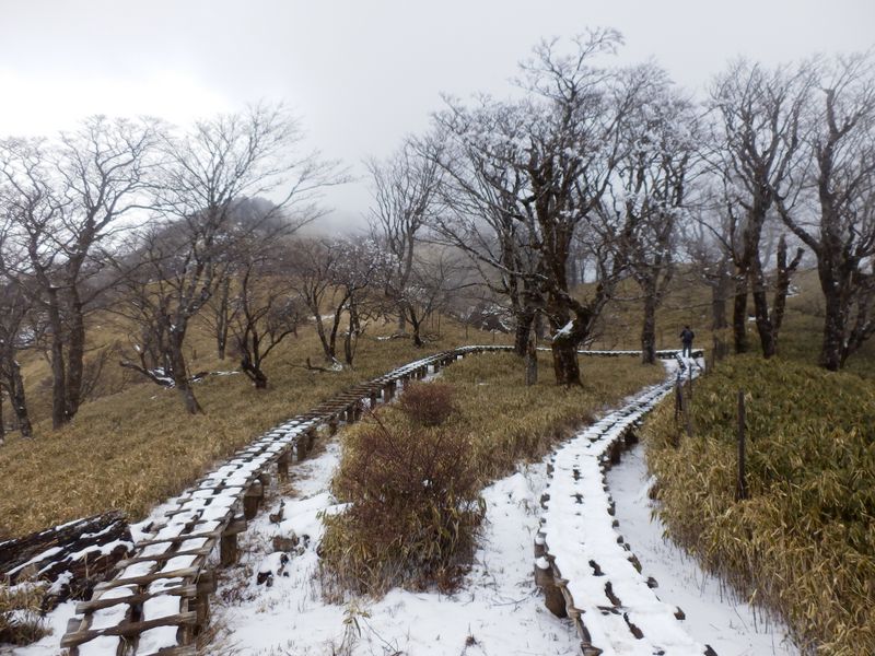 これは霧氷ではない