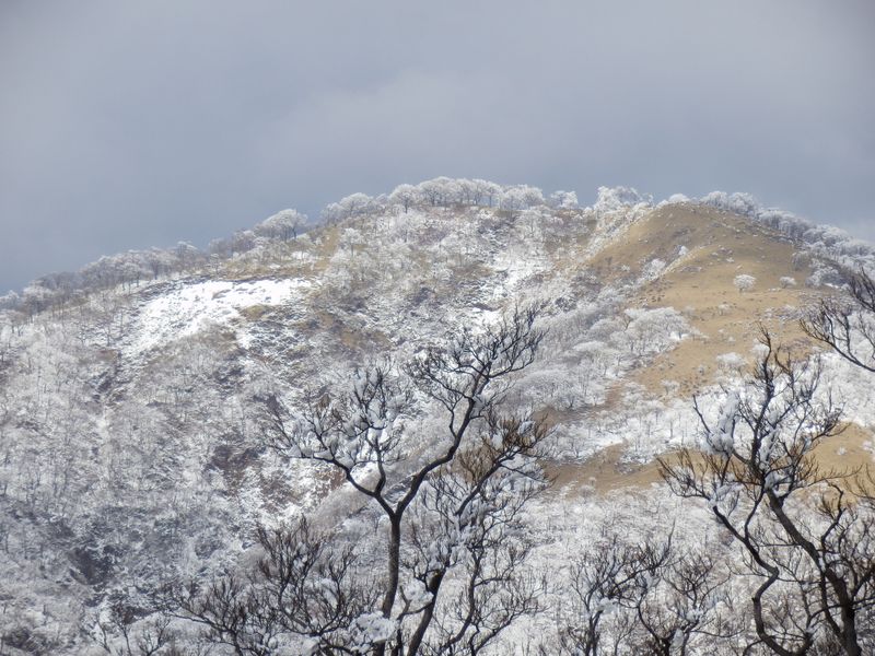 行く手が楽しみだ