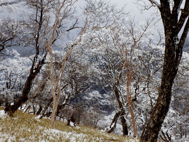 おお、美しい！