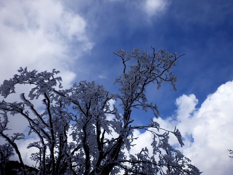 日が差してくれないかなあ