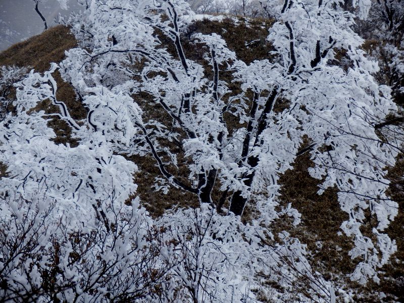 さようなら、また来ます