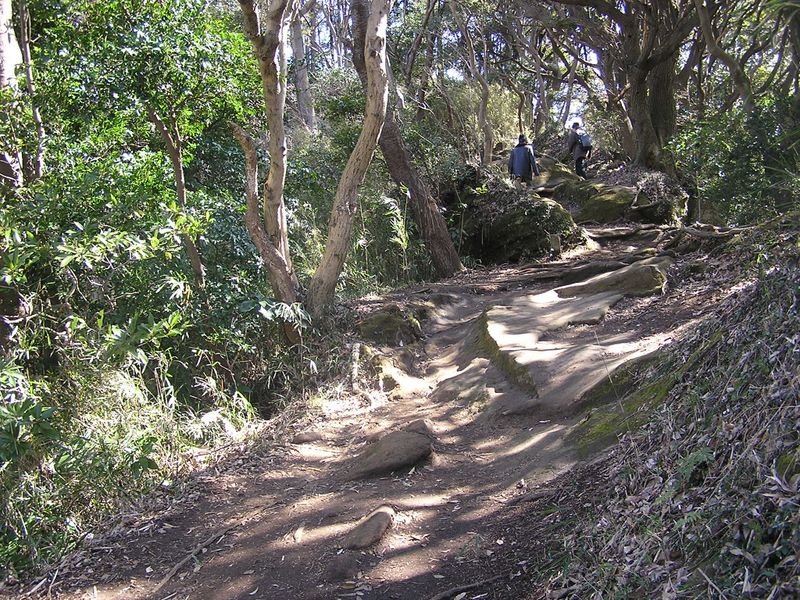 天園 -- 勝上巘から天園にかけての尾根道には、滑らかな岩が多くある