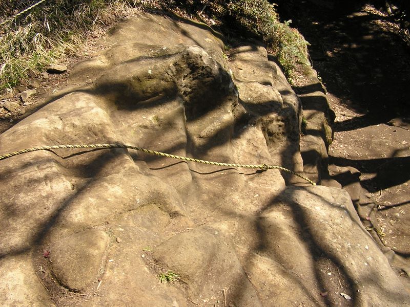 天園 -- 天園ハイキングコース唯一のロープ場