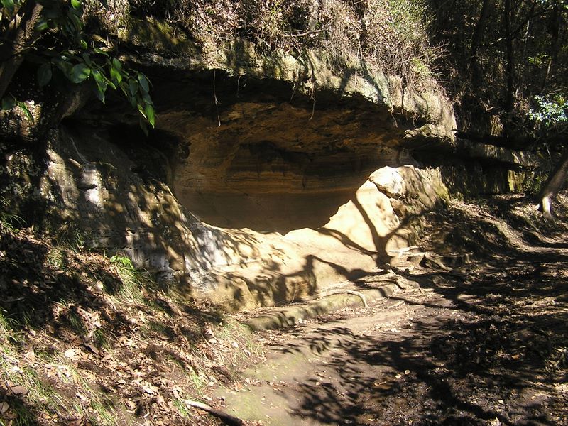 天園 -- えぐられた地層