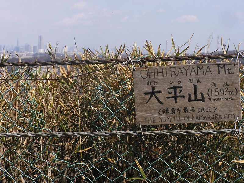 天園 -- 大平山は鎌倉市最高地点